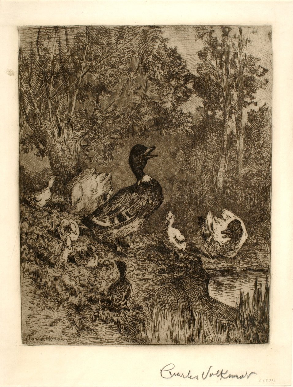 Head of the Family by Charles Volkmar