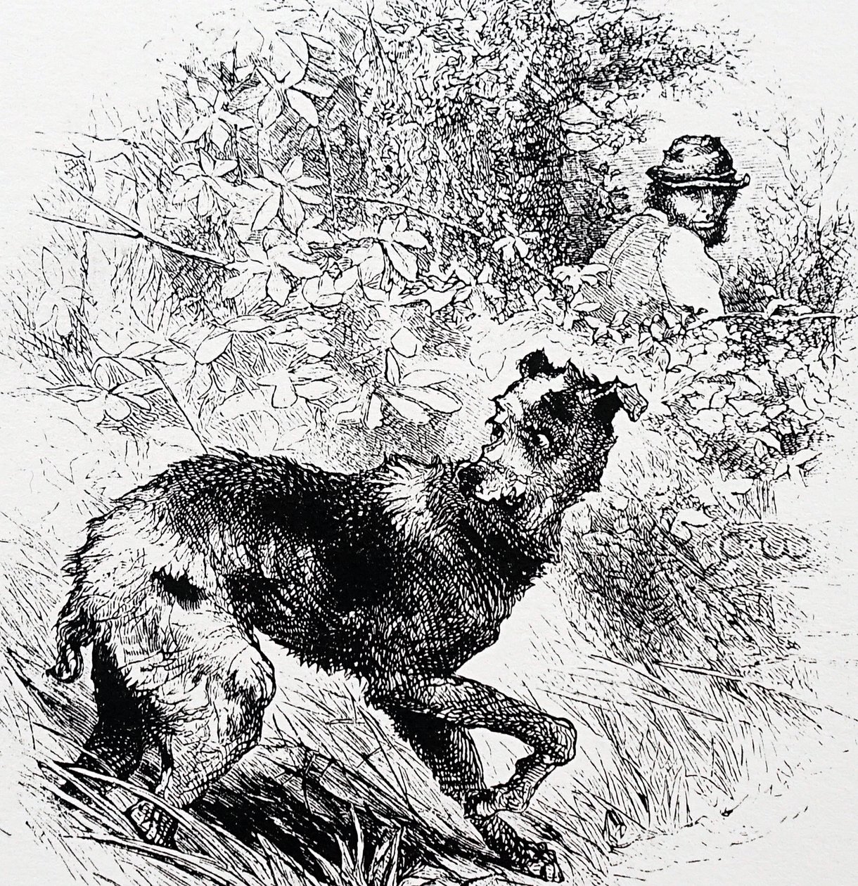 A Poacher with His Lurcher by Charles Whymper