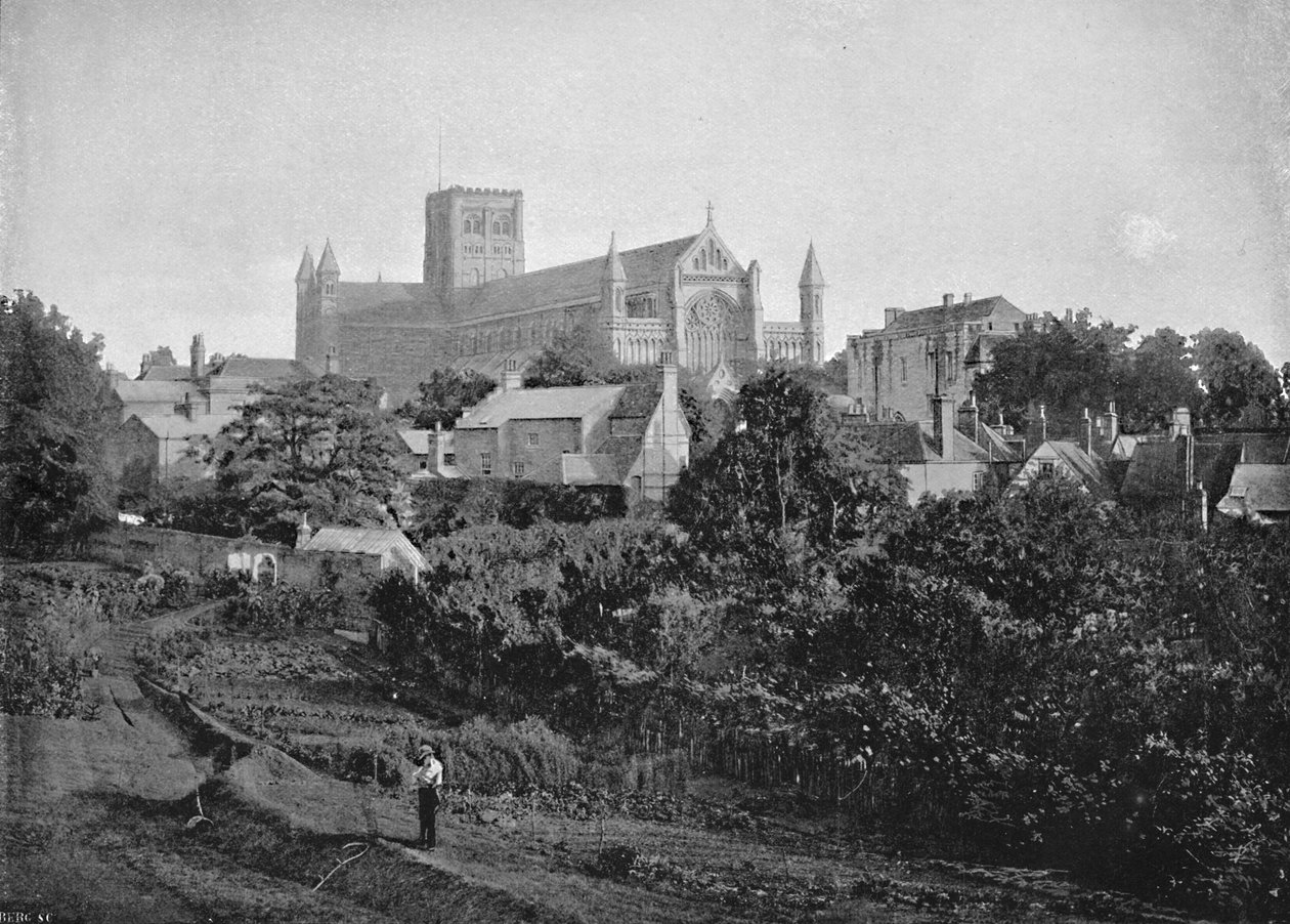 St. Albans Cathedral by Chester Vaughan