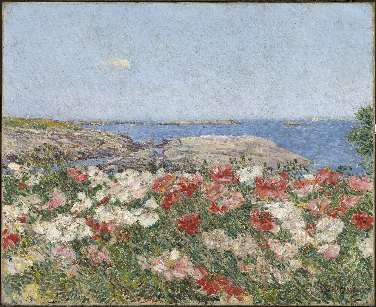 Poppies on the Isles of Shoals by Childe Frederick Hassam