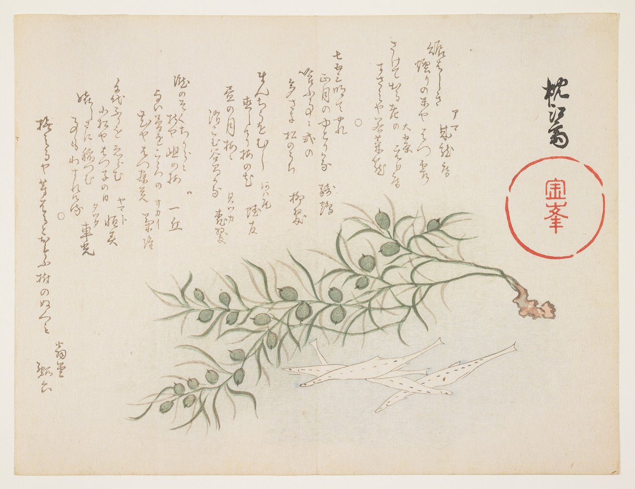 Small white fish and water-weed by Chinksai