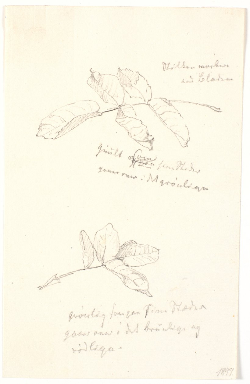 Leaf Studies with Color Indications in Pencil by Christen Købke