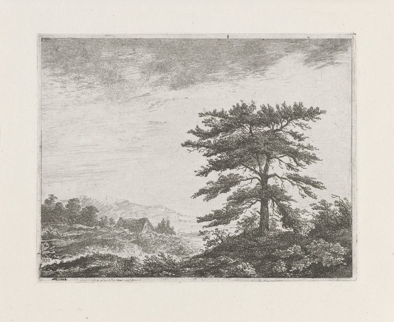 Tree in a Heath Landscape by Christiaan Wilhelmus Moorrees