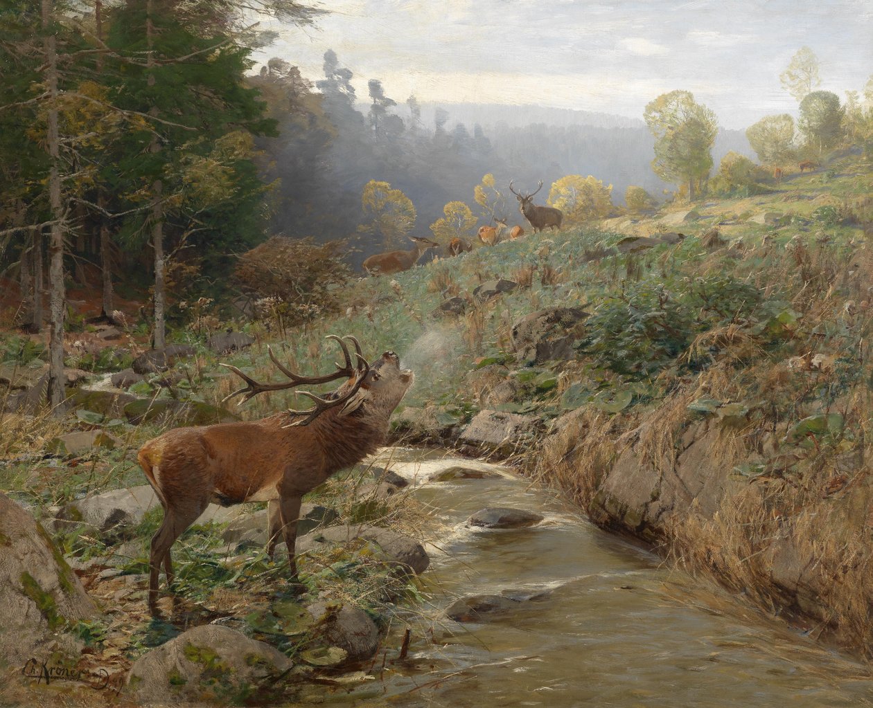 Red Deer Herd in a Forest Clearing by Christian Kröner