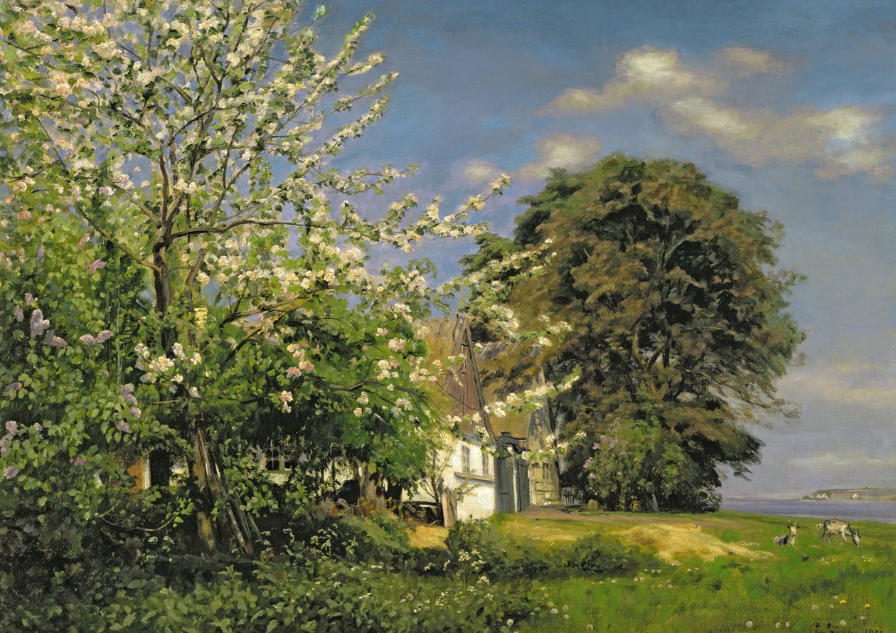 Spring Blossom by Christian Zacho