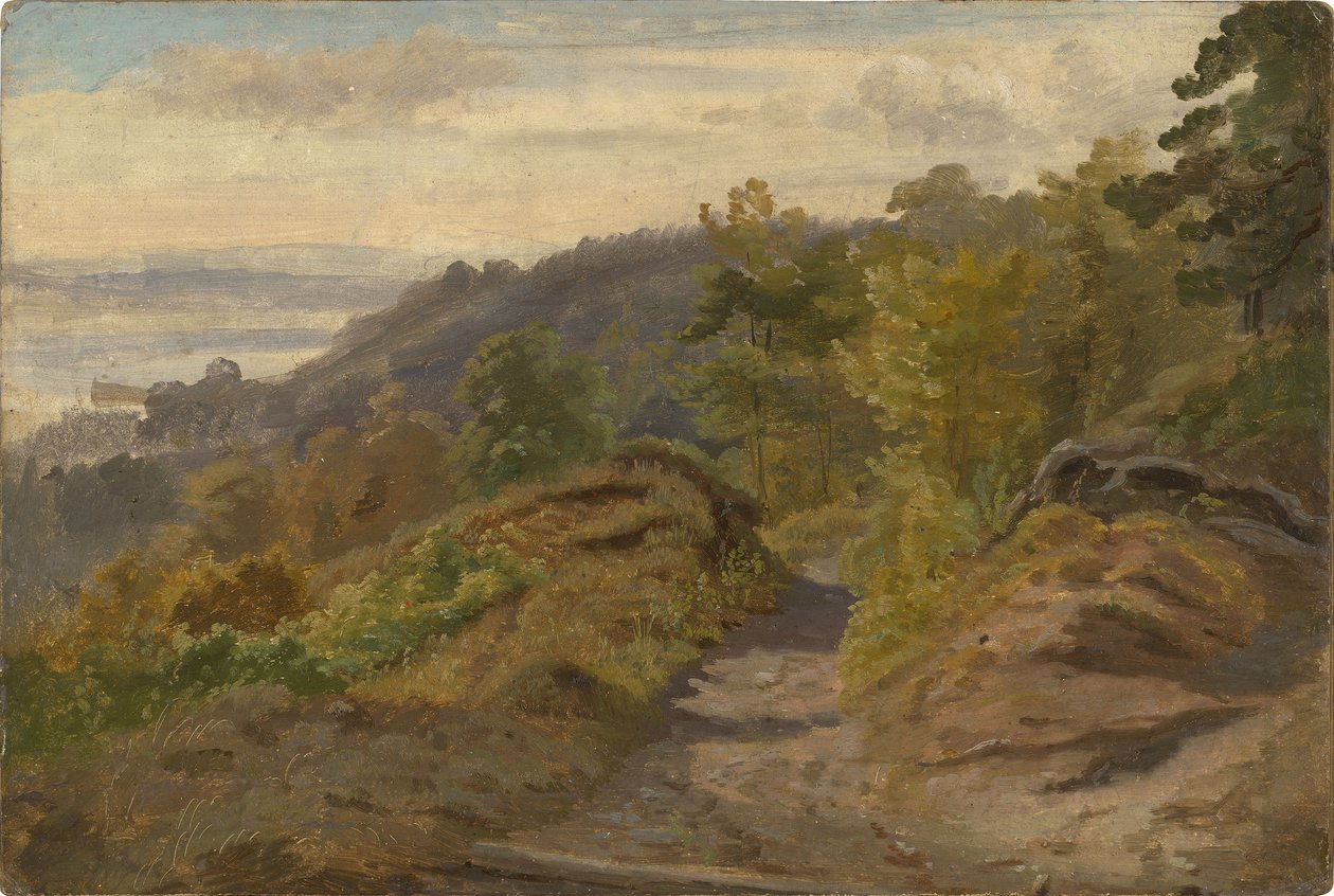 Mountain Stream by Christian Friedrich Gille