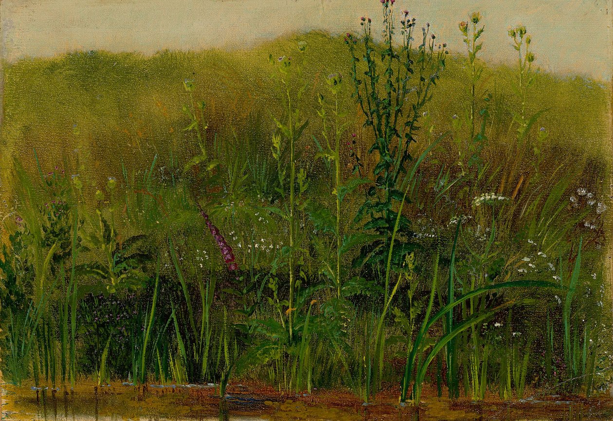 Plants on the Bank by Christian Friedrich Gille
