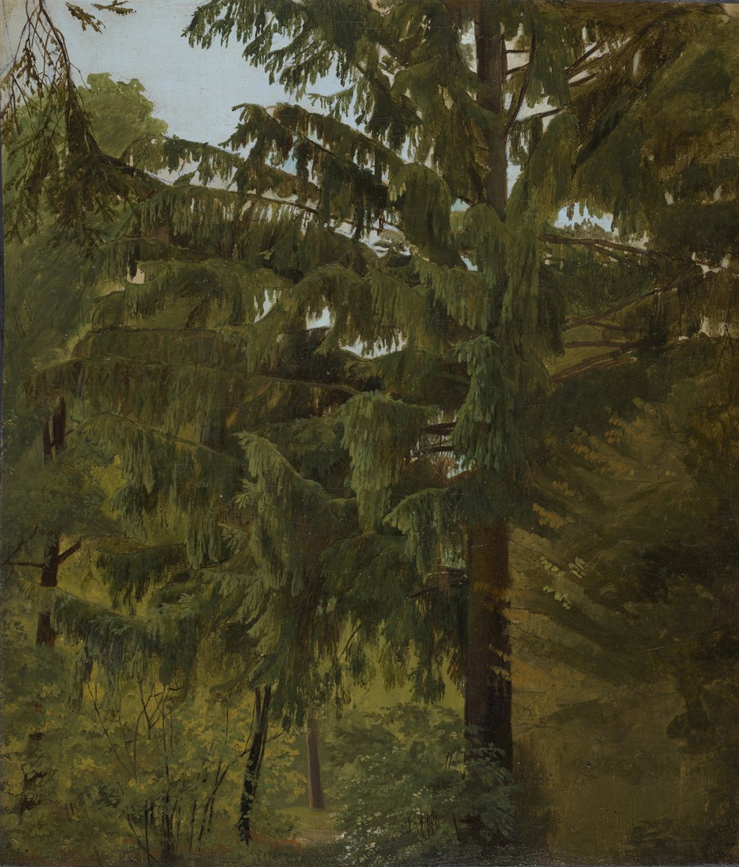 Fir Tree in Deciduous Forest by Christian Friedrich Gille