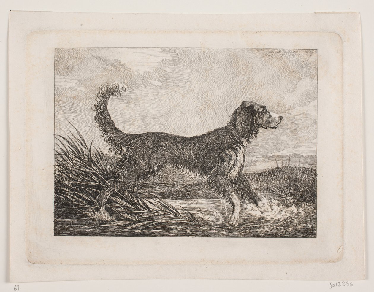 A Dog by Christian Holm