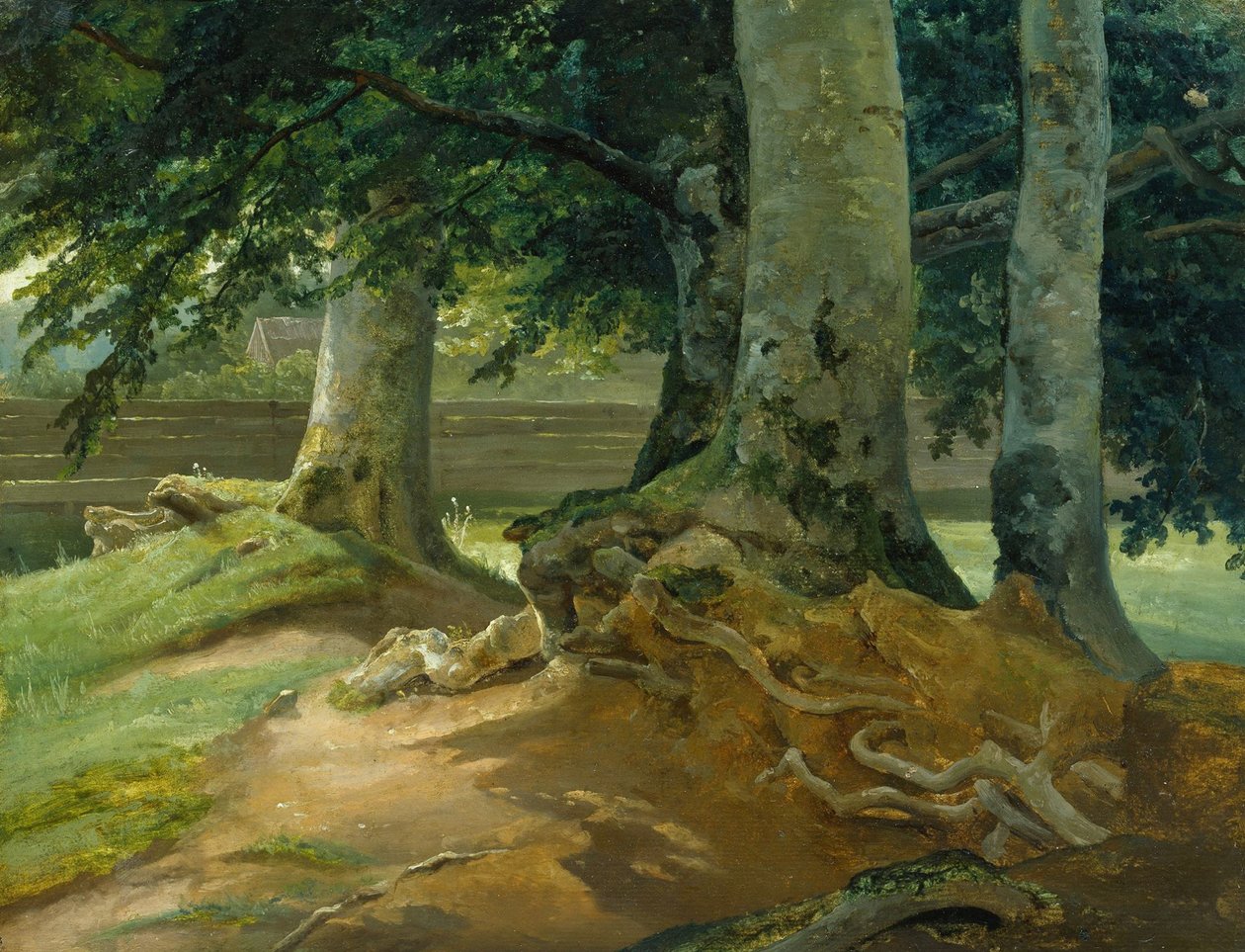 Beech Trees in Frederiksdal near Copenhagen by Christian Morgenstern