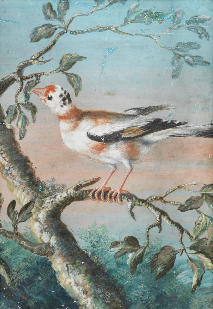 A Bird Seated on a Branch by Christoph Ludwig Agricola