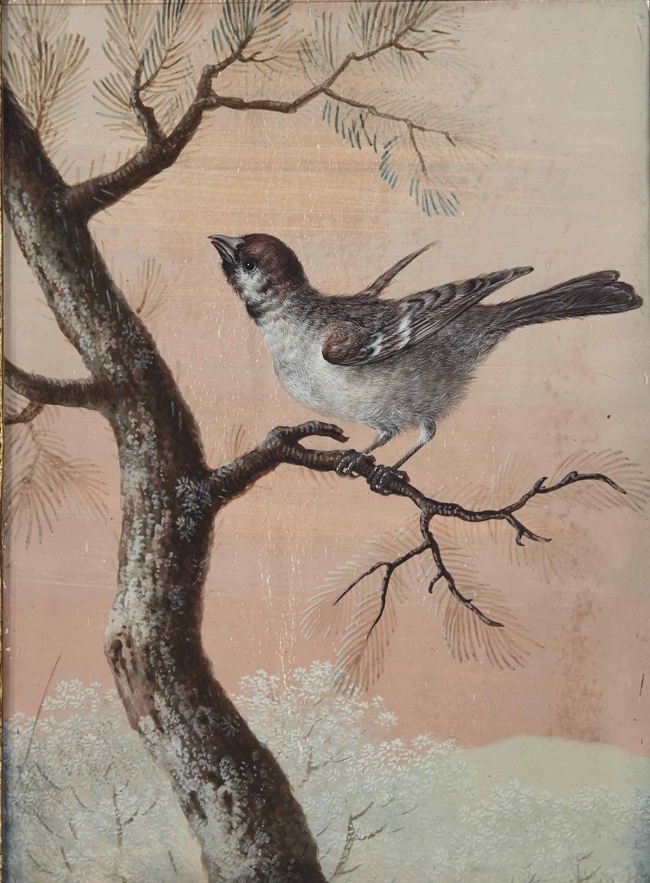 Tit on a Branch by Christoph Ludwig Agricola