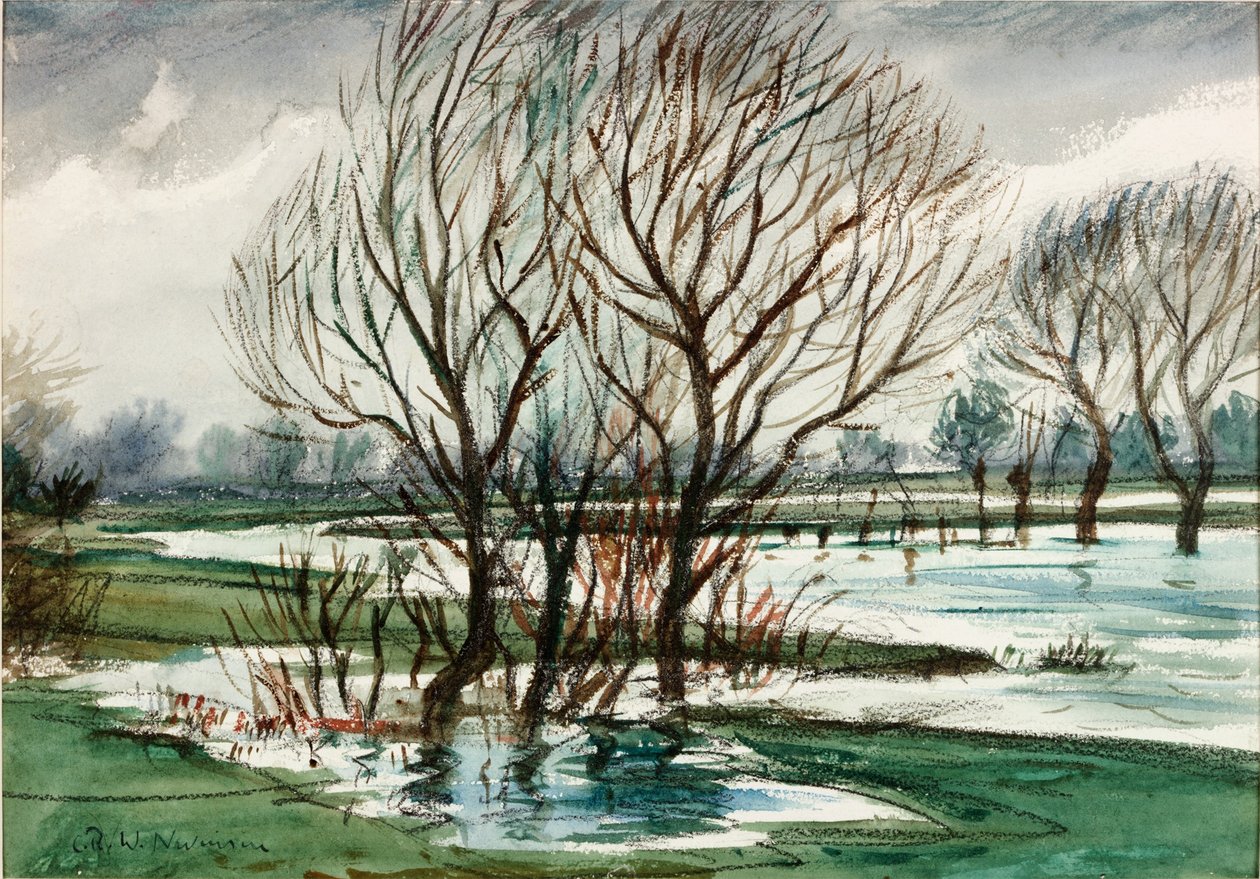 Willows by Christopher Richard Wynne Nevinson