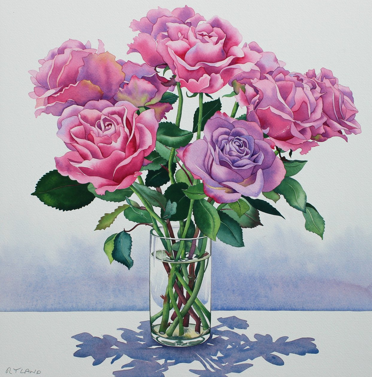 Avalanche Roses by Christopher Ryland