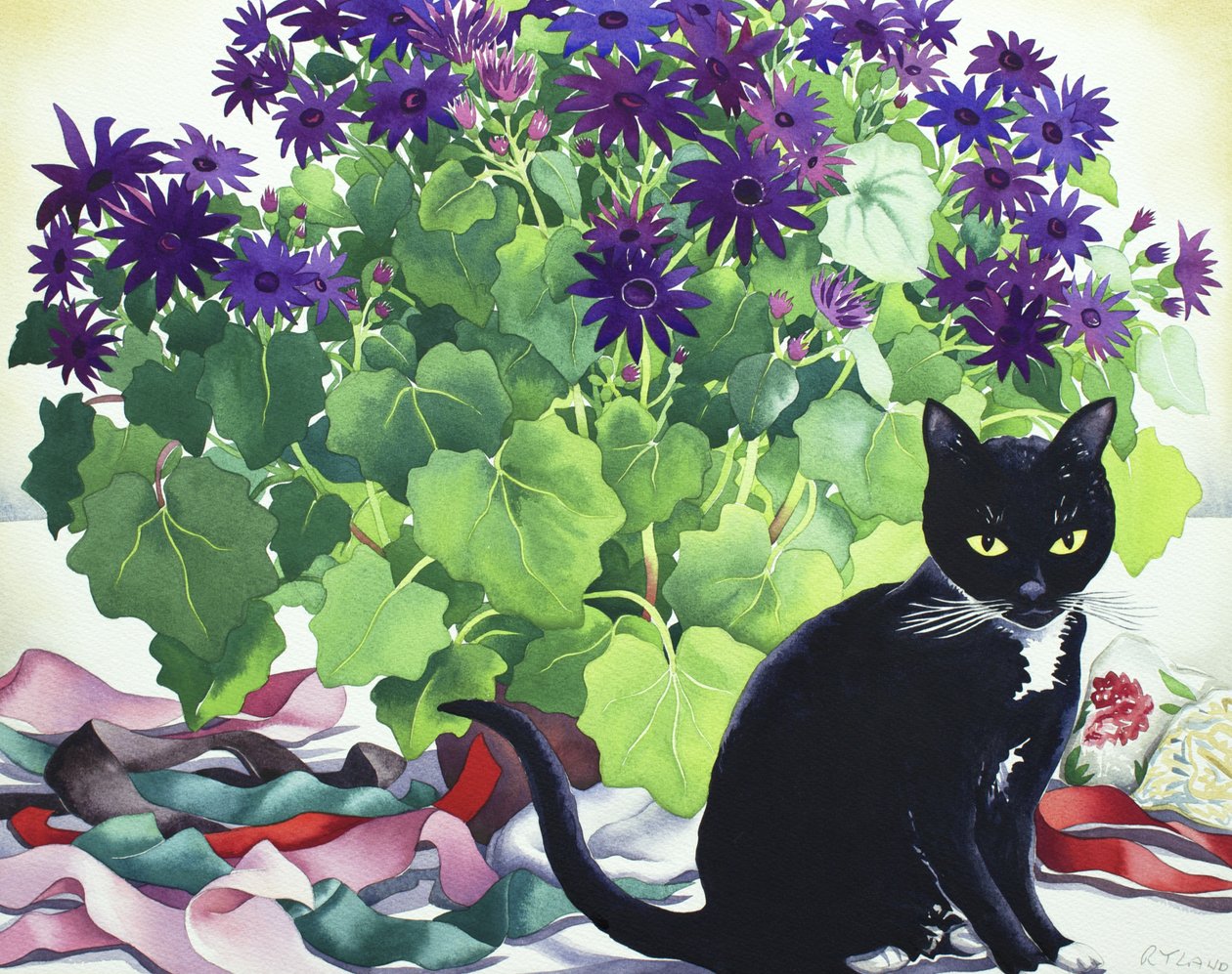 Senetti Plant and Cat by Christopher Ryland