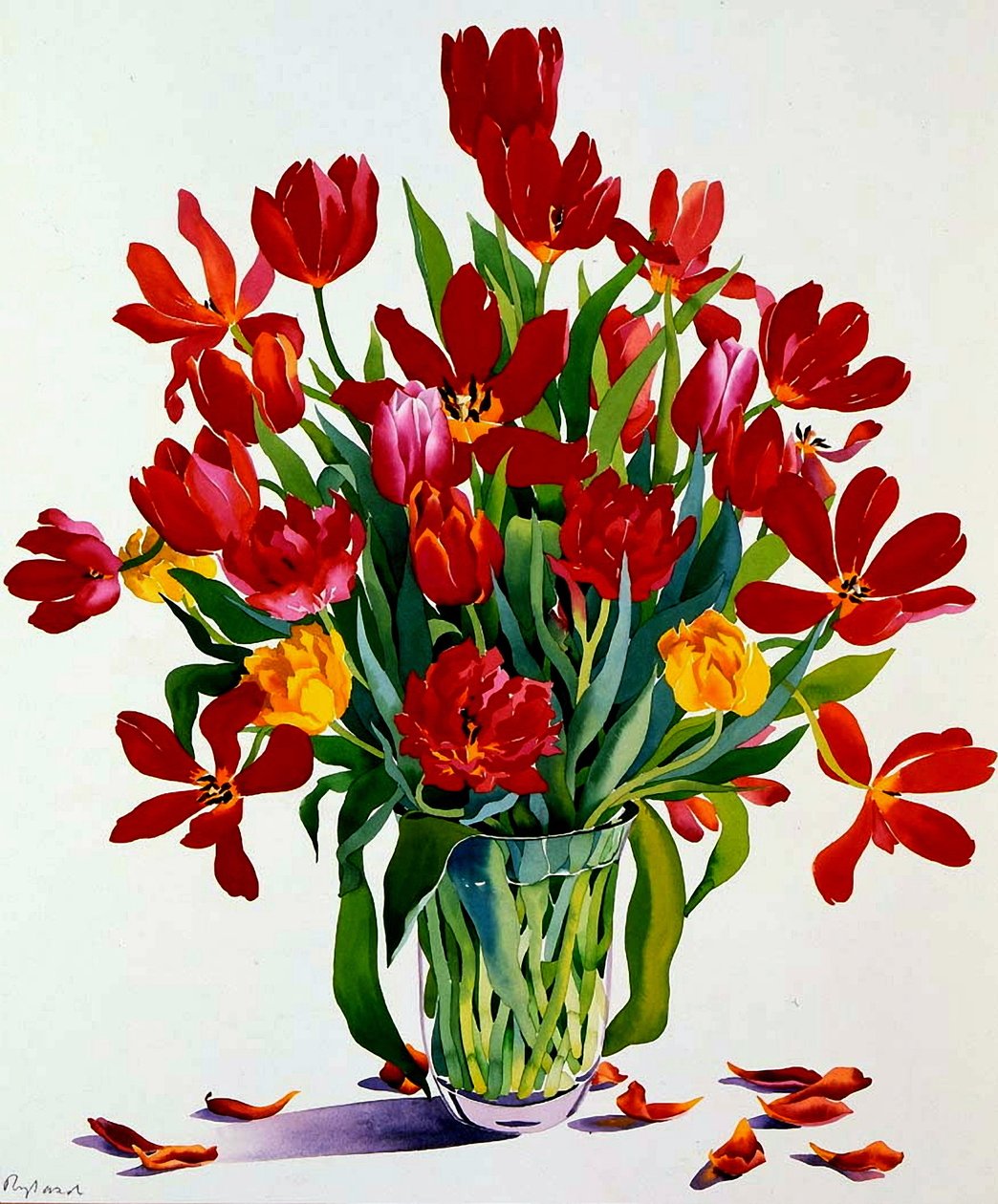 Tulips by Christopher Ryland