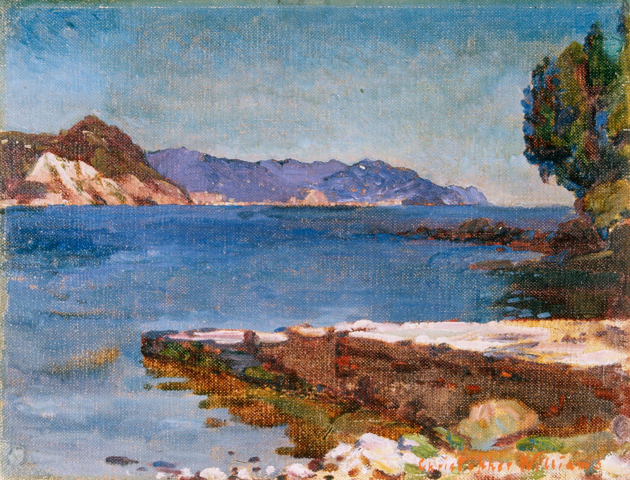 The Ligurian Coast from Rapallo by Christopher Williams