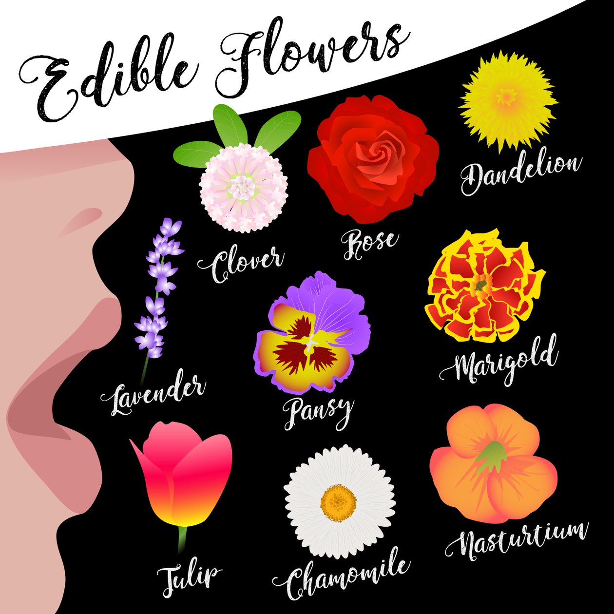 Edible Flowers by Claire Huntley