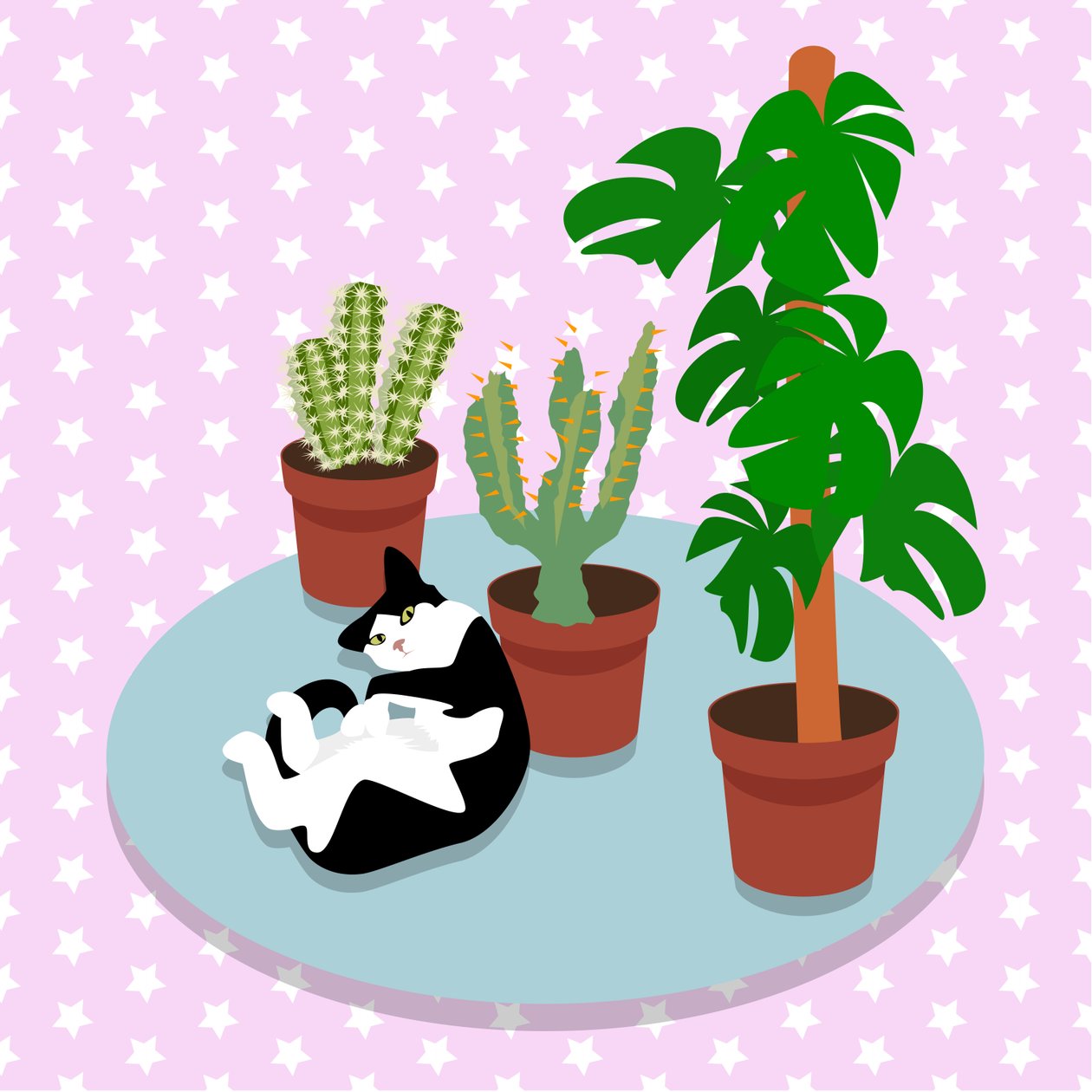 The Cat and the Cacti by Claire Huntley