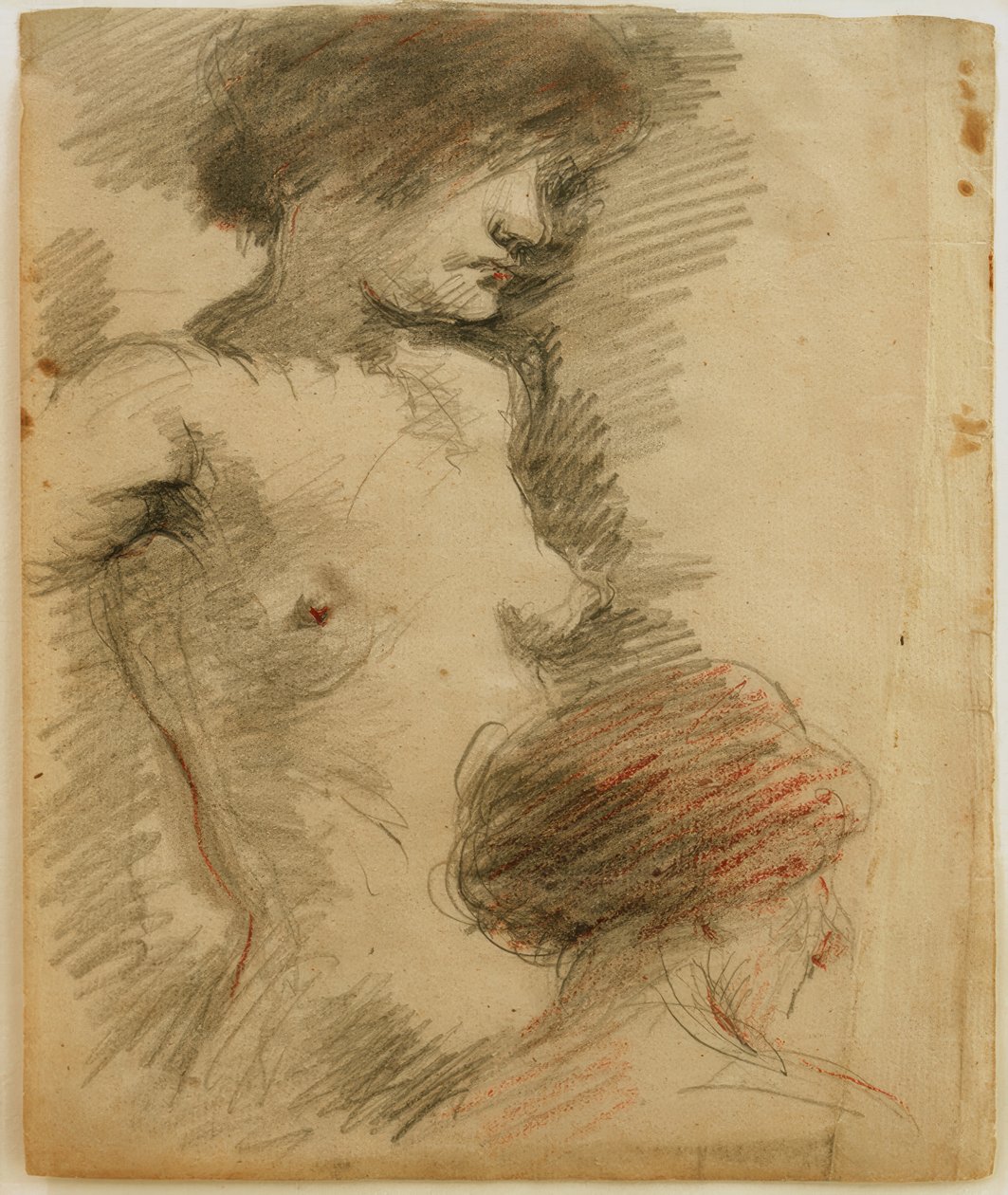 Standing Female Nude, Woman Turned Away in Front by Clara Siewert