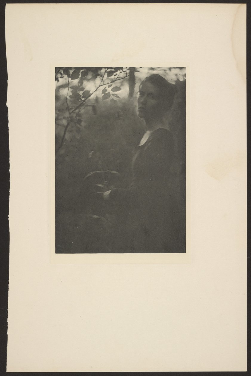 Edge of the Woods -- Evening by Clarence H. White