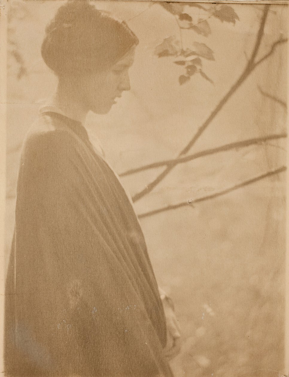 Sunlight, 1899, printed 1901 by Clarence H White