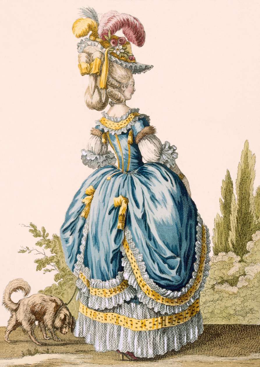 Back View of a Lady