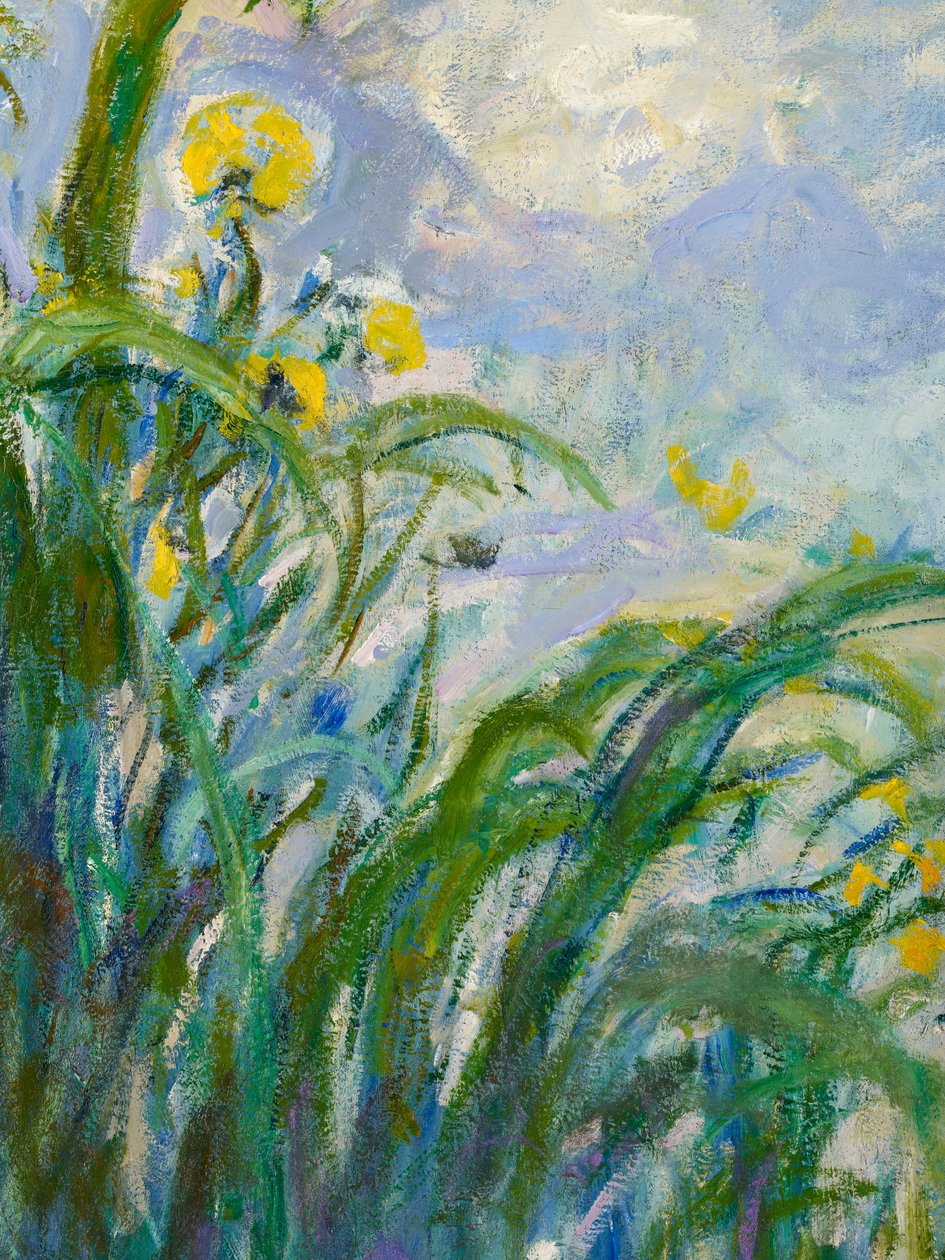 The Yellow Iris (detail) by Claude Monet