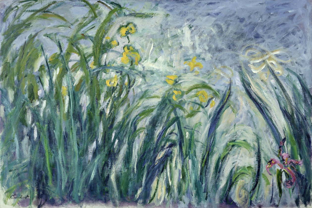 Yellow and Purple Irises, 1924-25 by Claude Monet