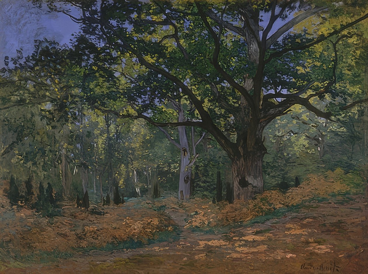 Bodmer Oak in the Forest of Fontainebleau. 1865 by Claude Monet