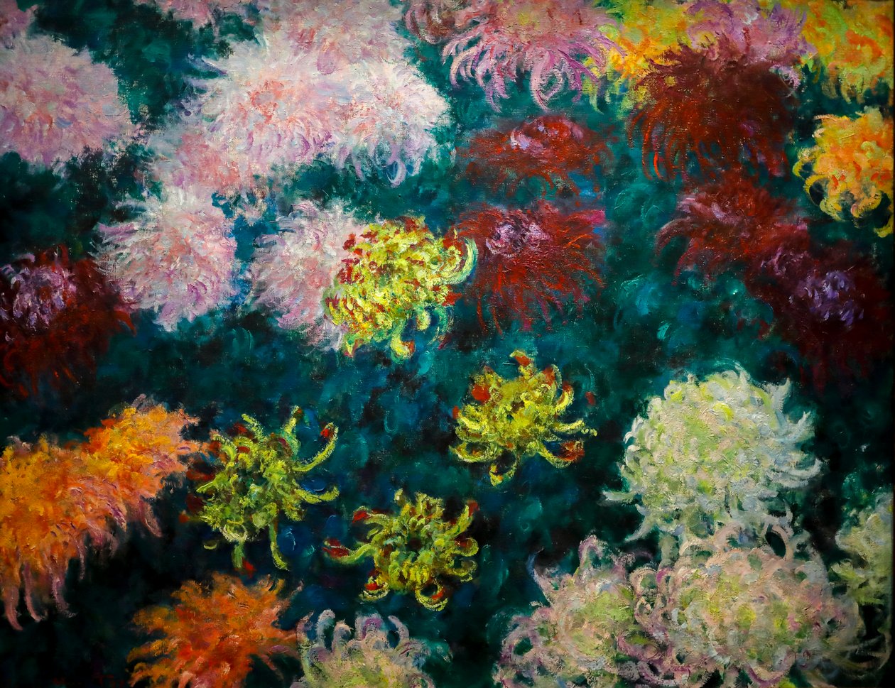 Chrysanthemums Bed by Claude Monet