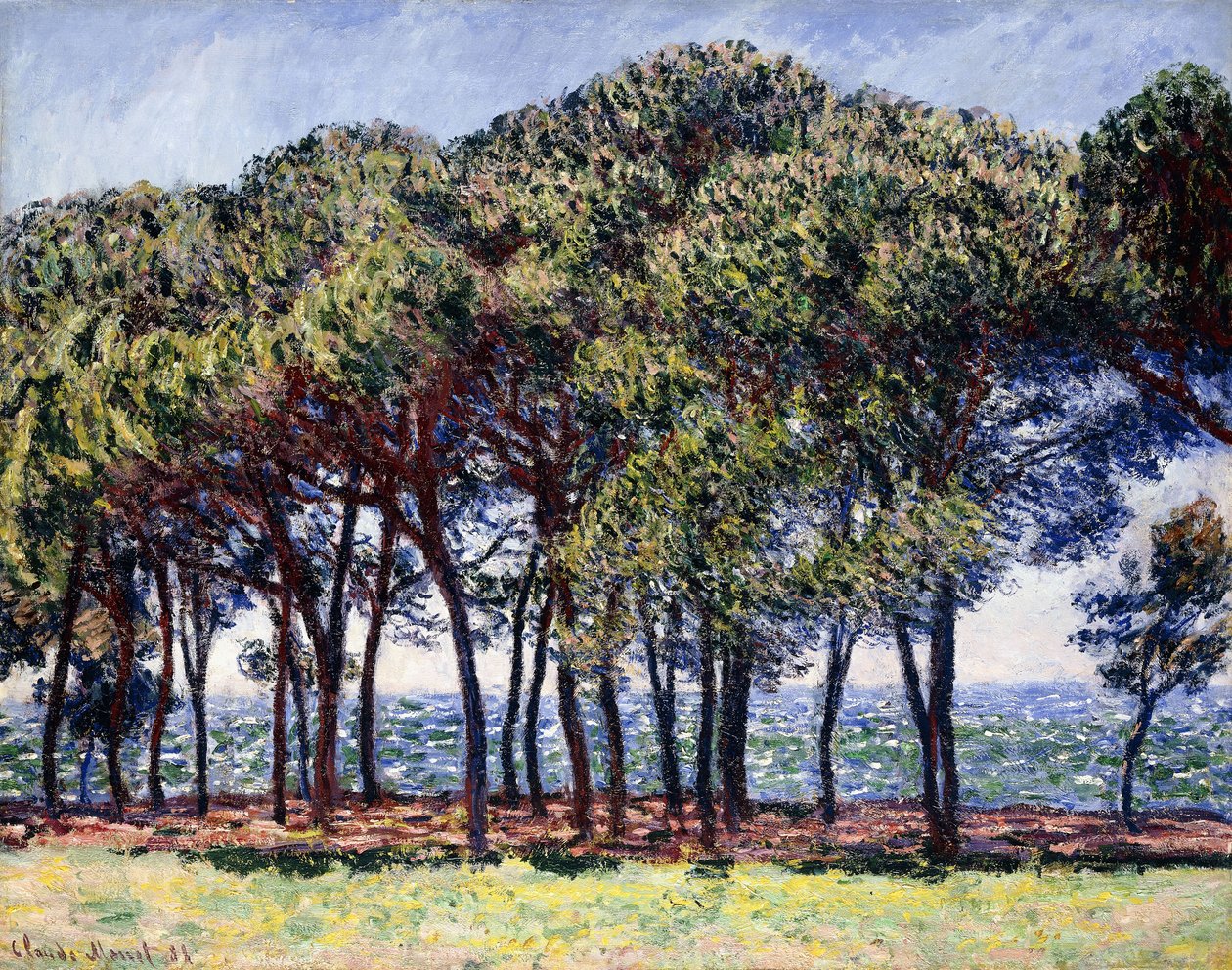 Pines, Cap d
