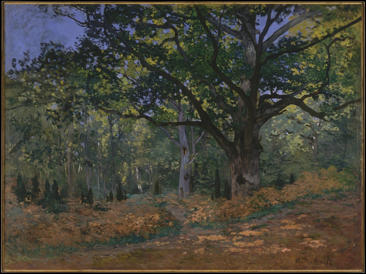 The Bodmer Oak, Fontainebleau Forest, 1865 by Claude Monet