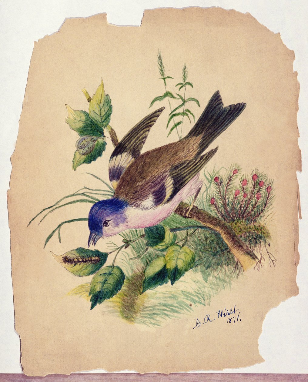 Bluebird on a Branch by Claude Raguet Hirst