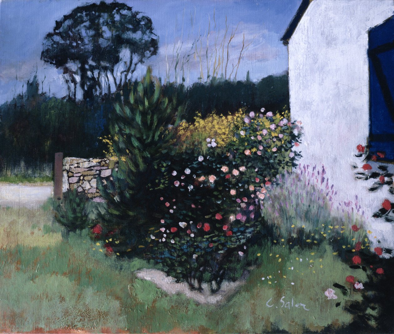 The Rosebush by Claude Salez