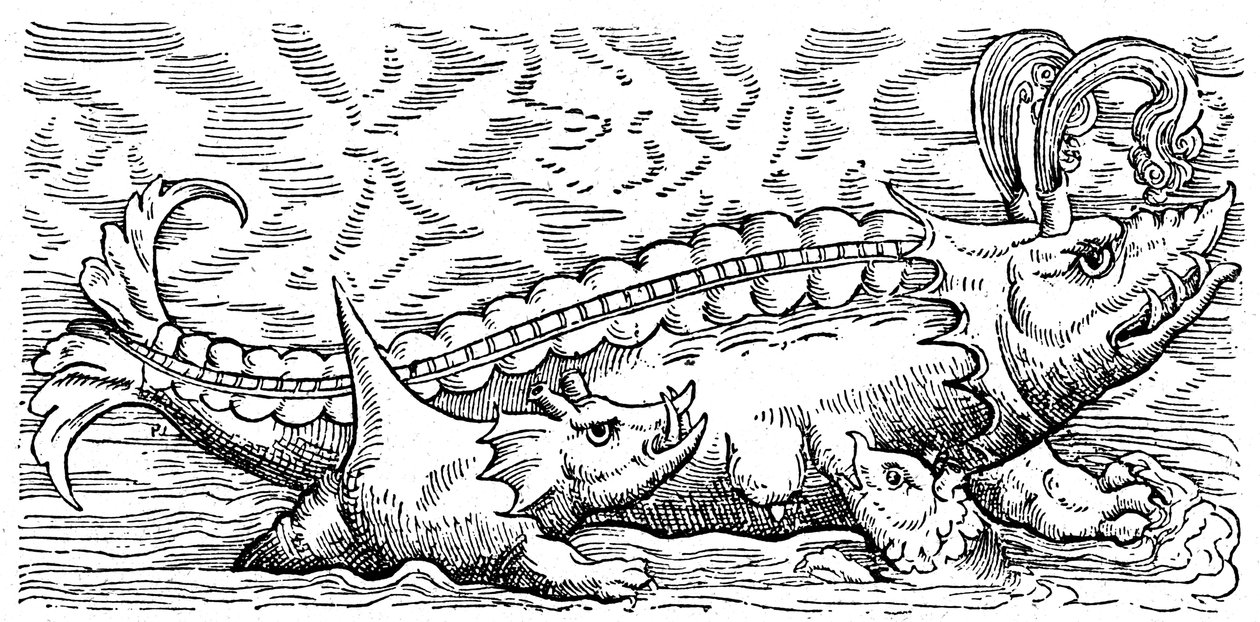Breastfeeding whale and sea pig by Conrad (after) Gesner