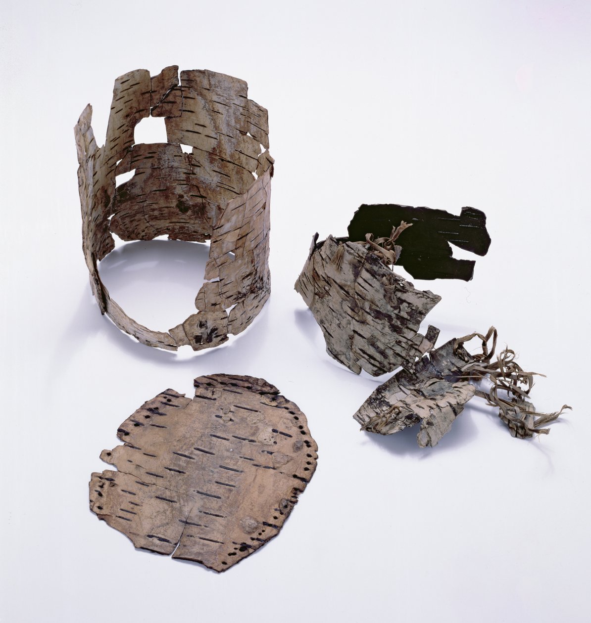 Birch-bark container found with the Oetzi Iceman by Copper Age