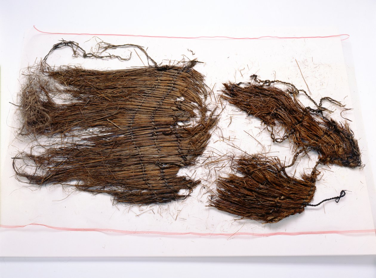Fragments from a Loose Sleeveless Cloak Found with the Oetzi Iceman by Copper Age