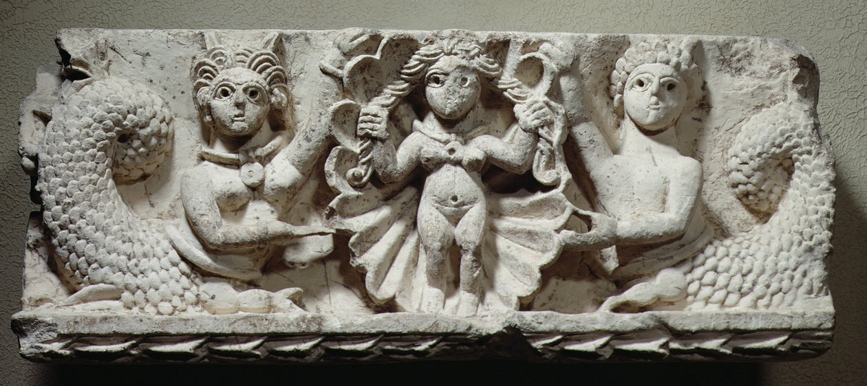 The Birth of Venus by Coptic