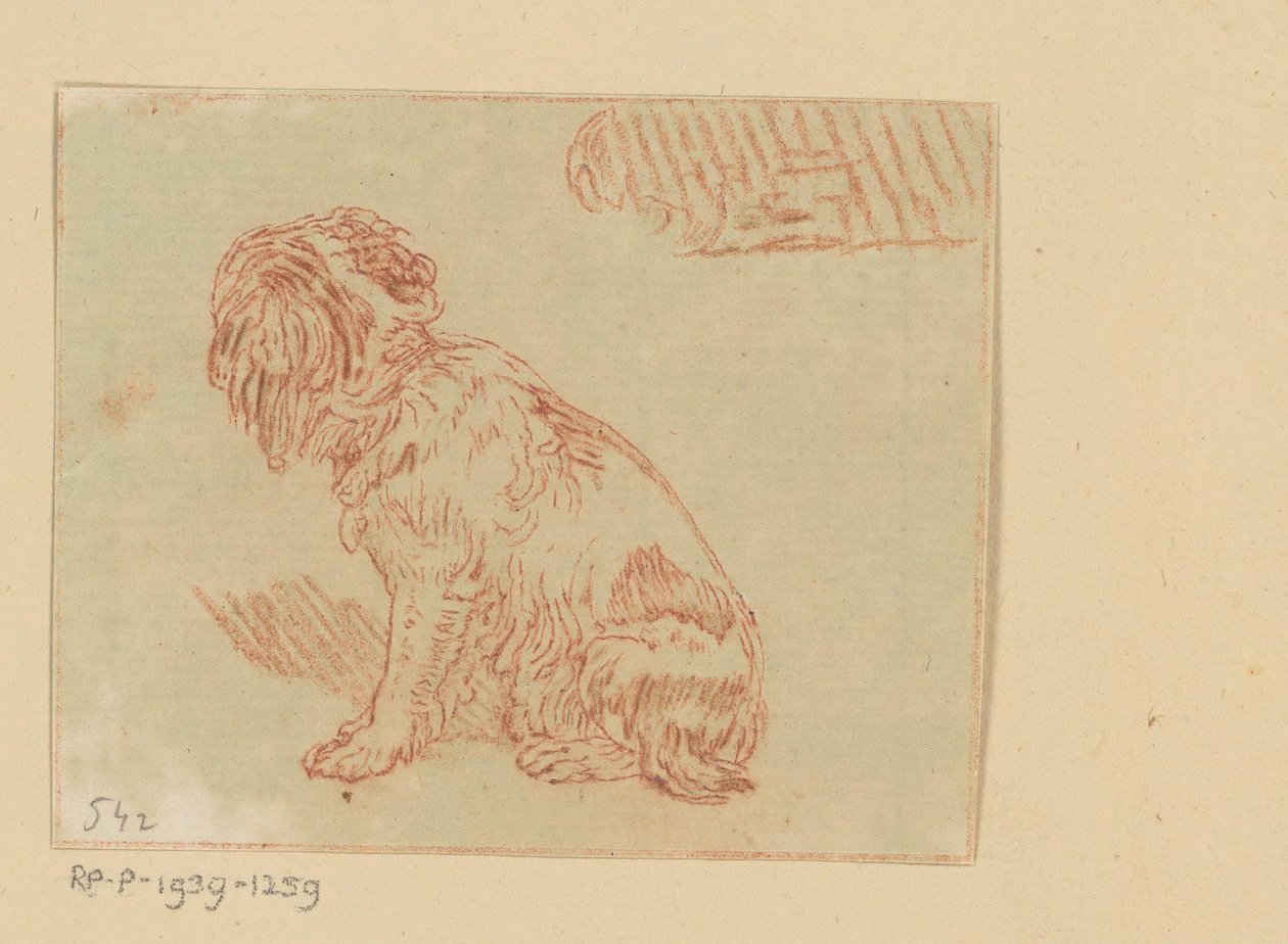 Sitting Dog by Cornelis Brouwer (possibly)