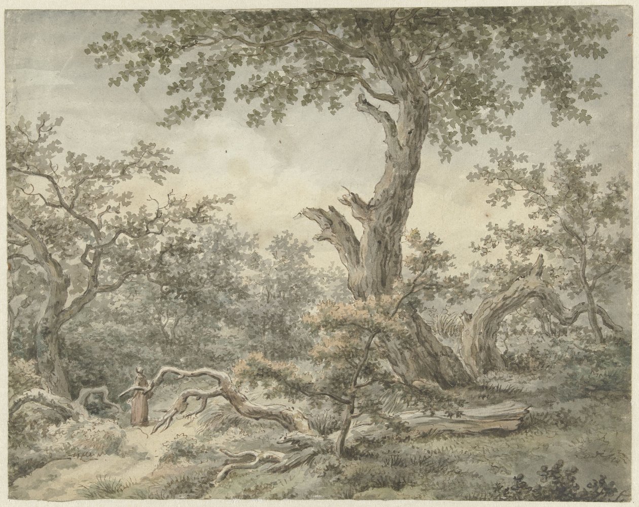 Forest Landscape by Cornelis Buys