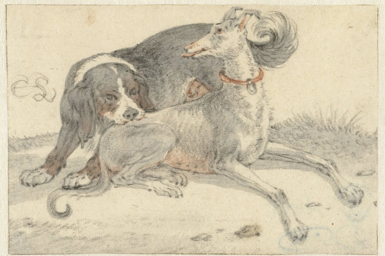 Greyhound and a partridge dog by Cornelis Saftleven