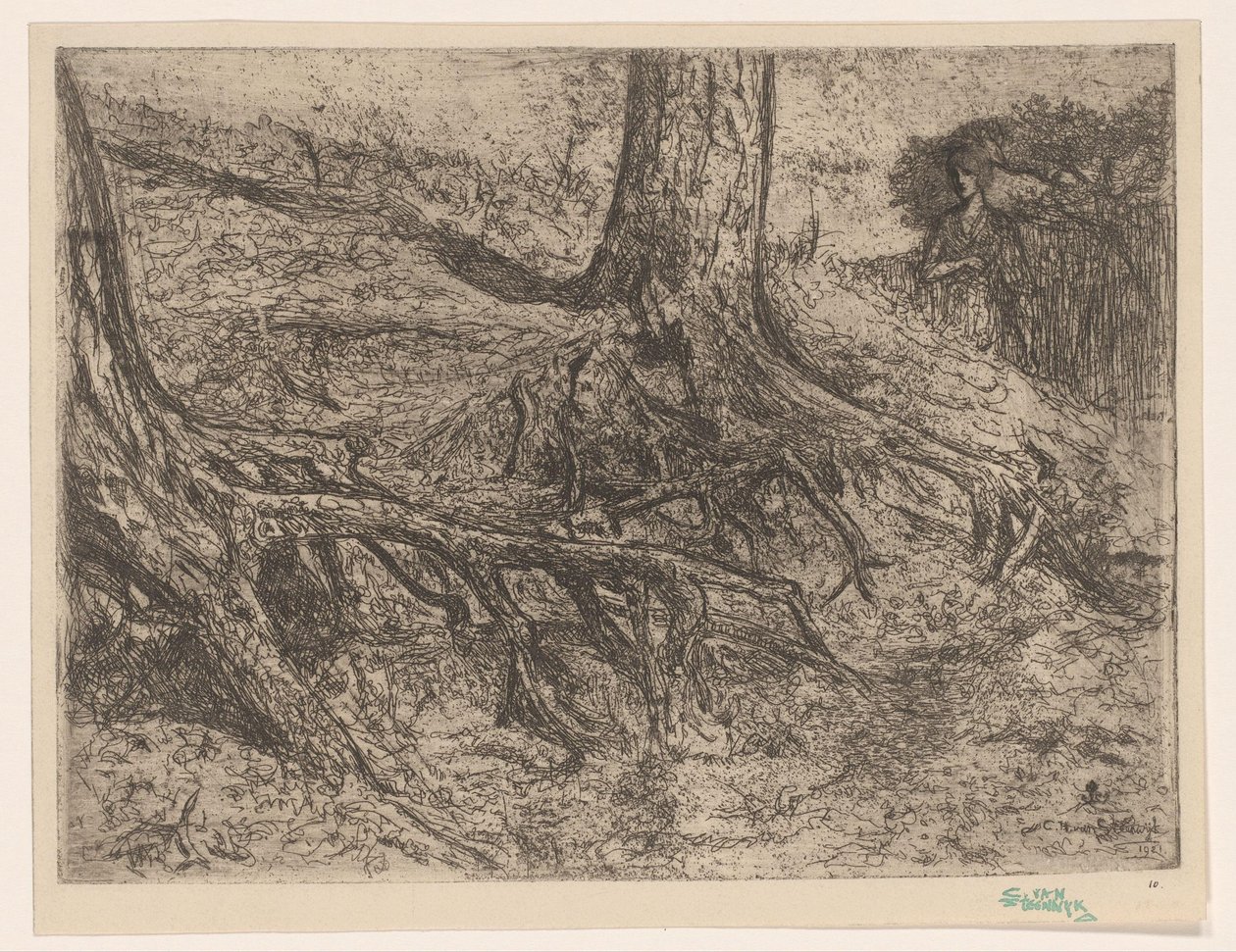 Tree Roots by Cornelis van Steenwijk