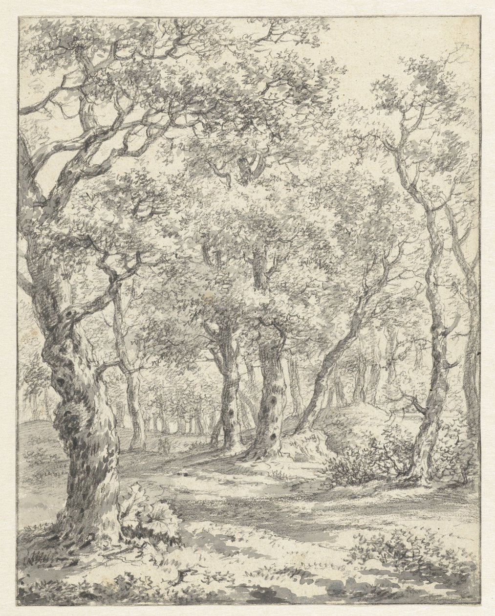 Forest Landscape by Couwenhoven