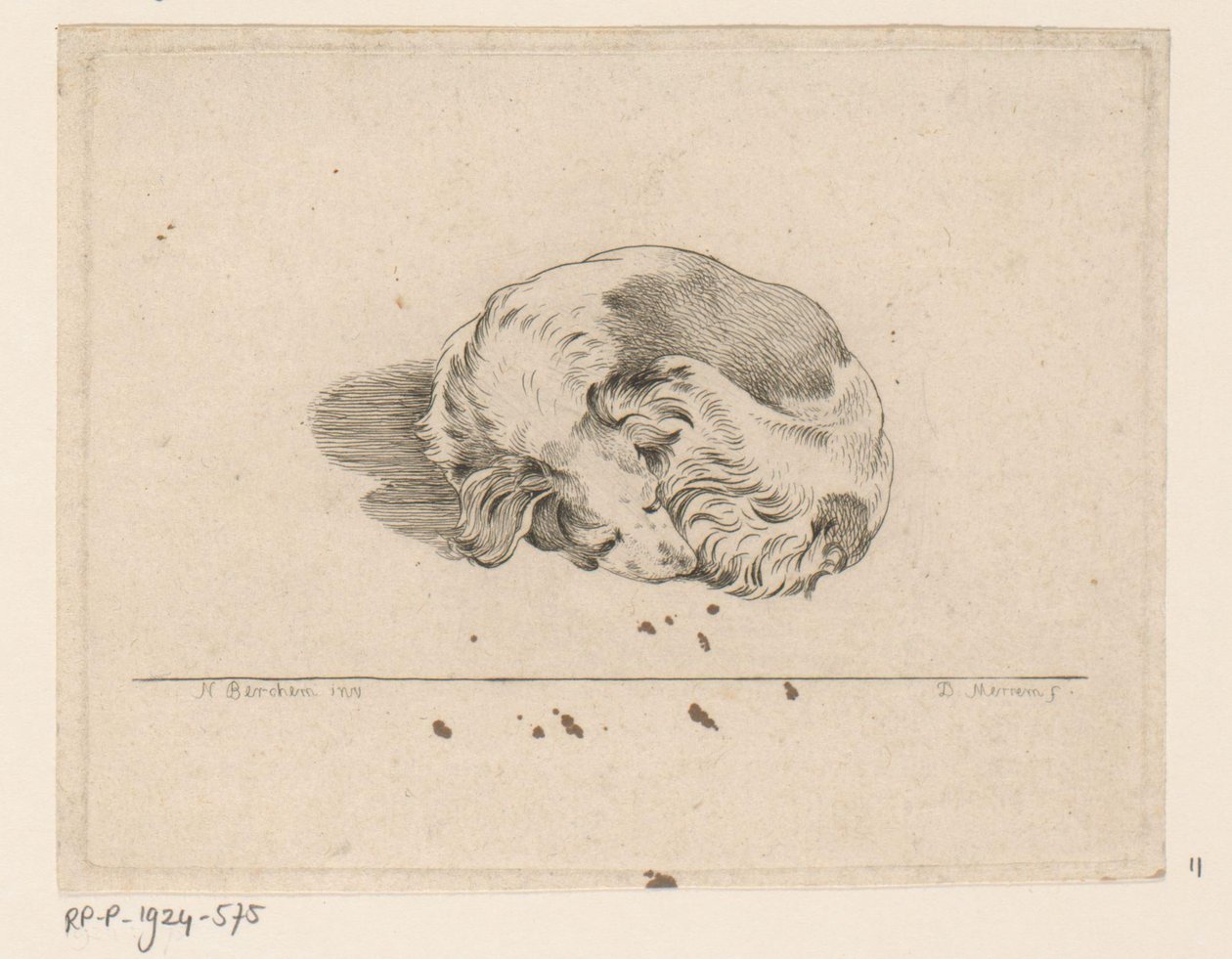 Sleeping Puppy by D. Merrem