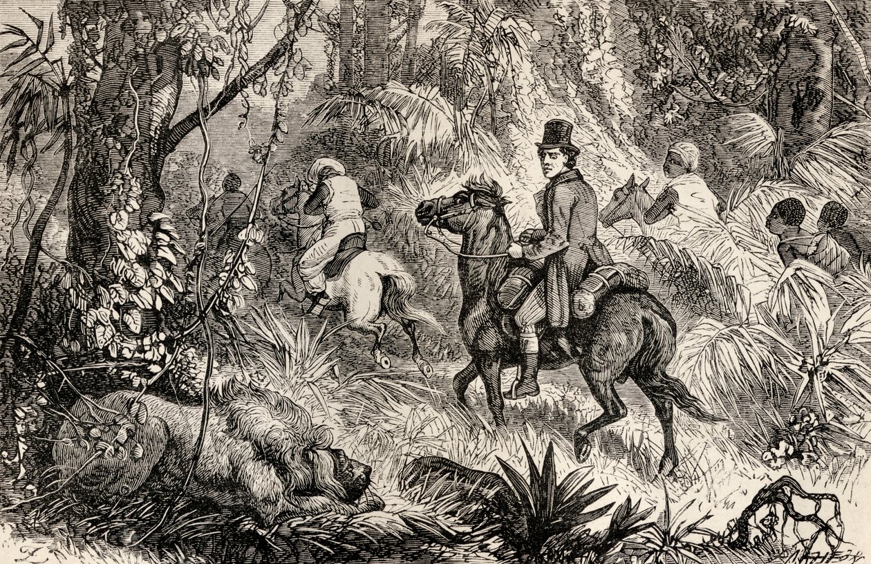 Mungo Park Encountering a Lion Whilst on His Way to the Village of Modiboo, 1825 by Dalziel Brothers