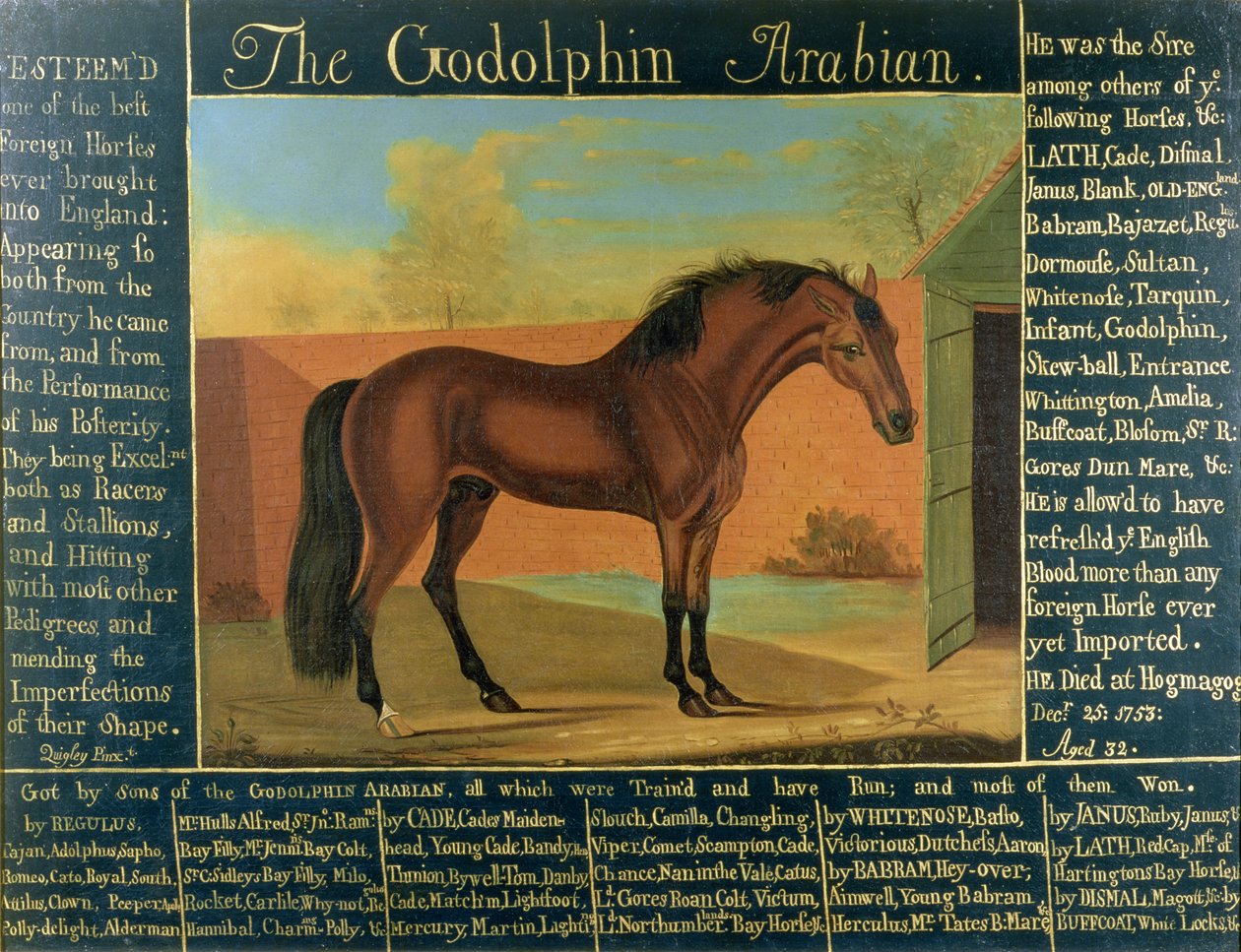 The Godolphin Arabian by Daniel Quigley