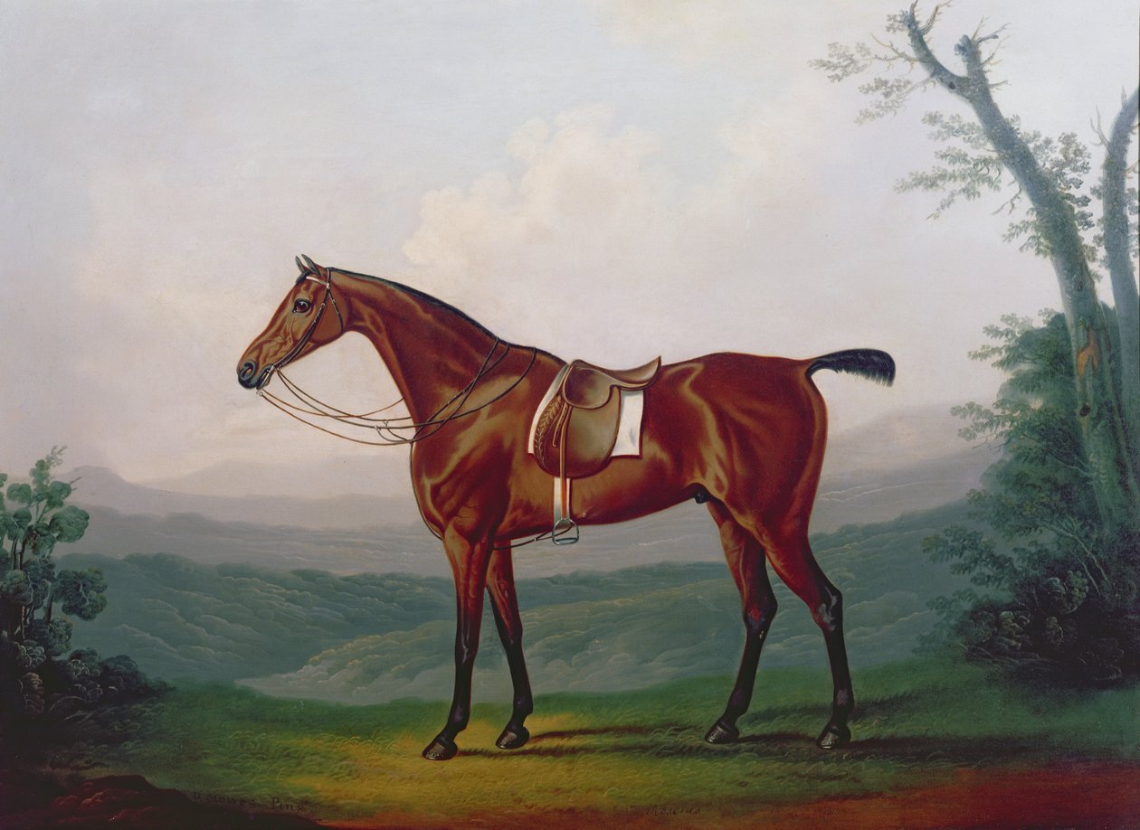 Portrait of a Race Horse by Daniel Clowes