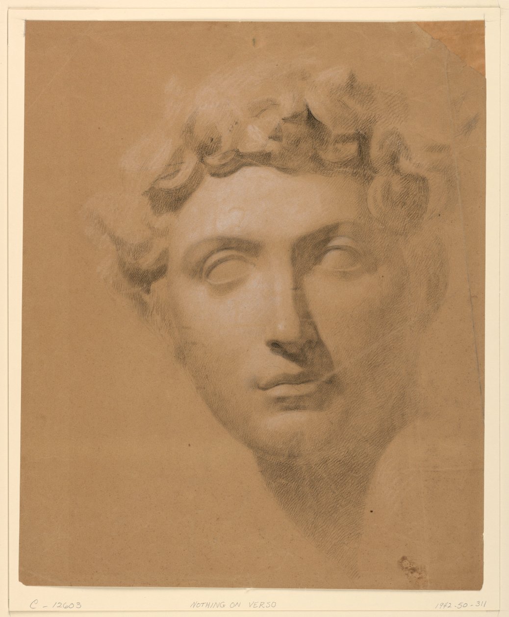Male Head From a Plaster Cast by Daniel Huntington