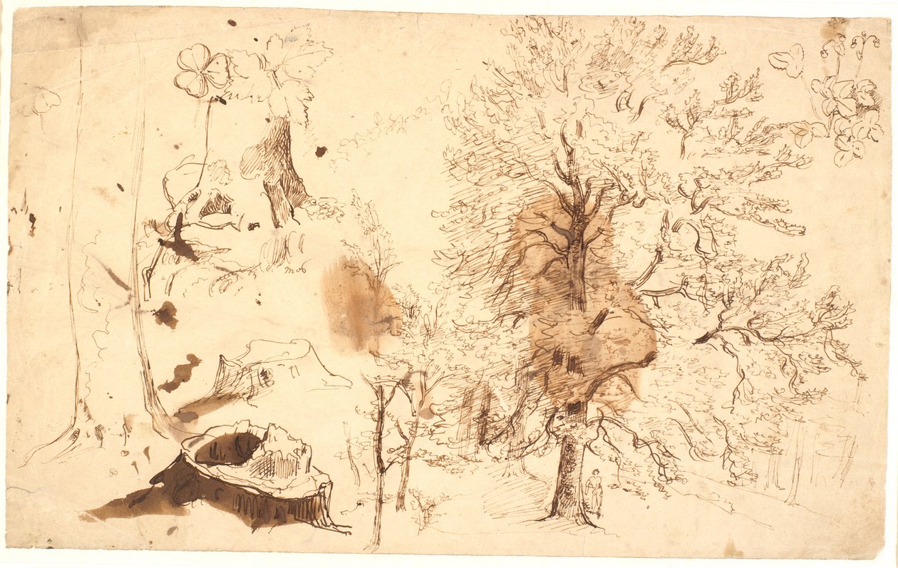Study with Trees, Plants, and Stumps by Dankvart Dreyer